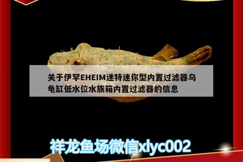 关于伊罕EHEIM迷特迷你型内置过滤器乌龟缸低水位水族箱内置过滤器的信息 乌龟