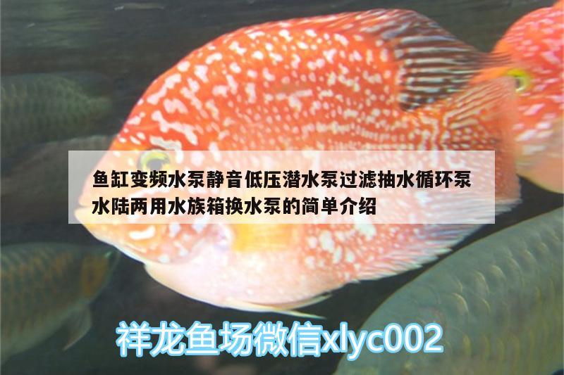 鱼缸变频水泵静音低压潜水泵过滤抽水循环泵水陆两用水族箱换水泵的简单介绍 鱼缸/水族箱