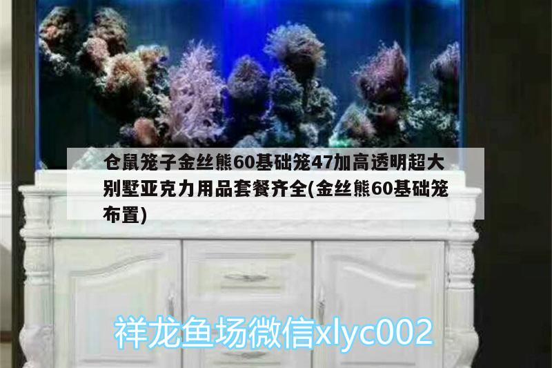 仓鼠笼子金丝熊60基础笼47加高透明超大别墅亚克力用品套餐齐全(金丝熊60基础笼布置)