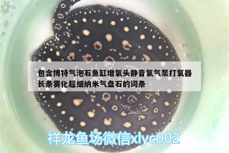 包含博特气泡石鱼缸增氧头静音氧气泵打氧器长条雾化超细纳米气盘石的词条 博特水族