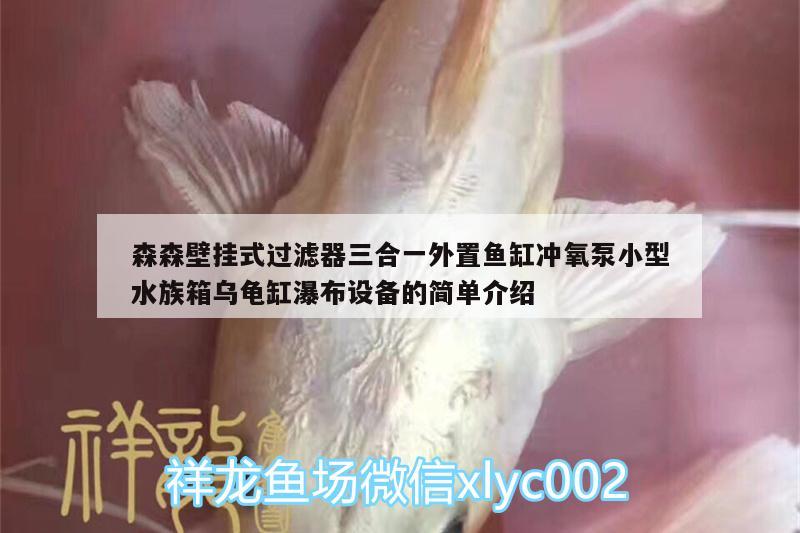 森森壁挂式过滤器三合一外置鱼缸冲氧泵小型水族箱乌龟缸瀑布设备的简单介绍