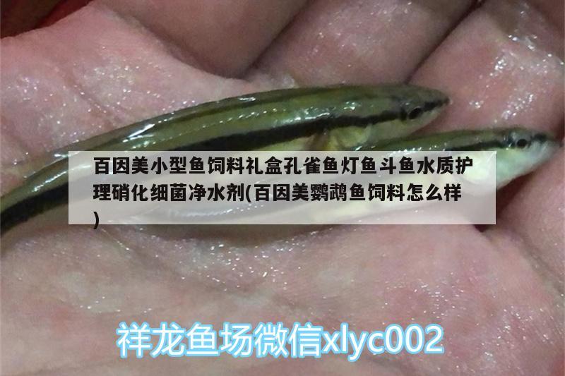 百因美小型鱼饲料礼盒孔雀鱼灯鱼斗鱼水质护理硝化细菌净水剂(百因美鹦鹉鱼饲料怎么样)