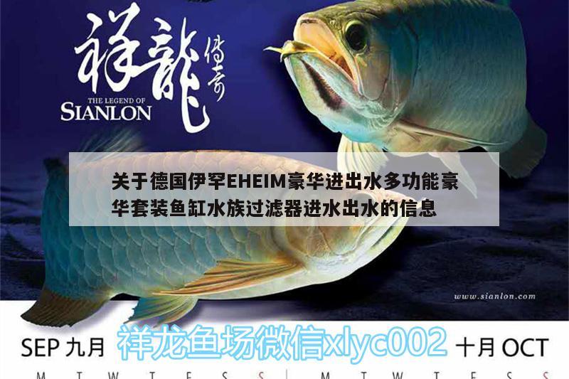 关于德国伊罕EHEIM豪华进出水多功能豪华套装鱼缸水族过滤器进水出水的信息 伊罕水族