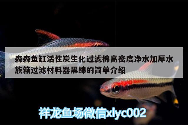 森森鱼缸活性炭生化过滤棉高密度净水加厚水族箱过滤材料器黑绵的简单介绍 鱼缸/水族箱