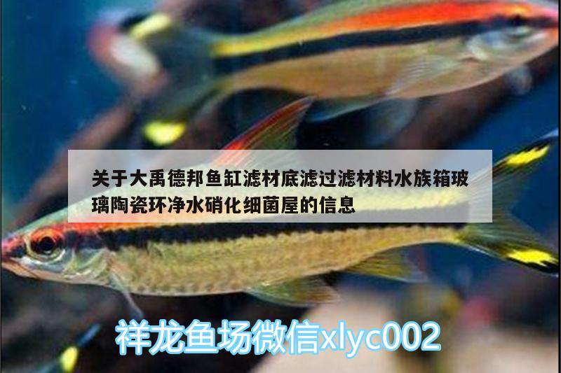 关于大禹德邦鱼缸滤材底滤过滤材料水族箱玻璃陶瓷环净水硝化细菌屋的信息