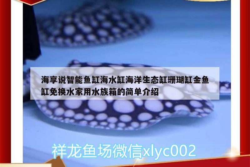 海享说智能鱼缸海水缸海洋生态缸珊瑚缸金鱼缸免换水家用水族箱的简单介绍 鱼缸/水族箱