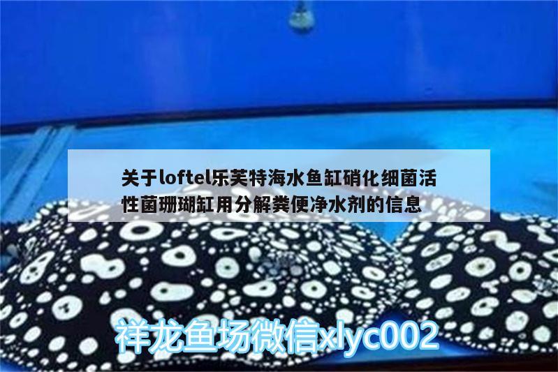 关于loftel乐芙特海水鱼缸硝化细菌活性菌珊瑚缸用分解粪便净水剂的信息