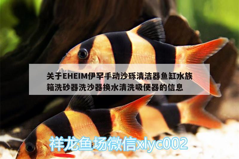 关于EHEIM伊罕手动沙砾清洁器鱼缸水族箱洗砂器洗沙器换水清洗吸便器的信息