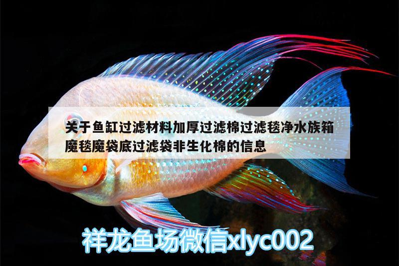 关于鱼缸过滤材料加厚过滤棉过滤毯净水族箱魔毯魔袋底过滤袋非生化棉的信息 鱼缸/水族箱