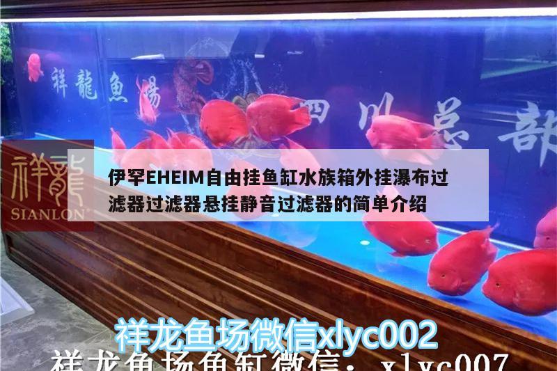 伊罕EHEIM自由挂鱼缸水族箱外挂瀑布过滤器过滤器悬挂静音过滤器的简单介绍 伊罕水族