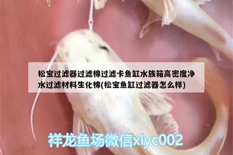 松宝过滤器过滤棉过滤卡鱼缸水族箱高密度净水过滤材料生化棉(松宝鱼缸过滤器怎么样) 鱼缸/水族箱 第2张