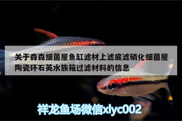 关于森森细菌屋鱼缸滤材上滤底滤硝化细菌屋陶瓷环石英水族箱过滤材料的信息 硝化细菌