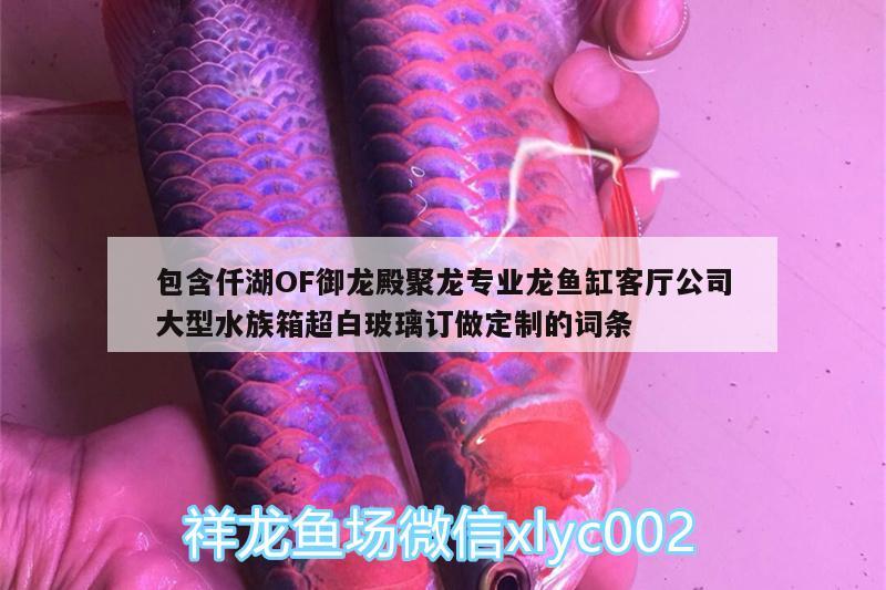 包含仟湖OF御龙殿聚龙专业龙鱼缸客厅公司大型水族箱超白玻璃订做定制的词条 仟湖