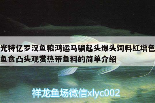 光特亿罗汉鱼粮鸿运马骝起头爆头饲料红增色鱼食凸头观赏热带鱼料的简单介绍