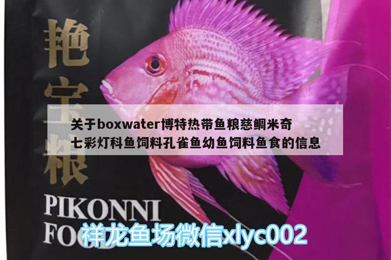 关于boxwater博特热带鱼粮慈鲷米奇七彩灯科鱼饲料孔雀鱼幼鱼饲料鱼食的信息