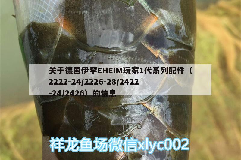 关于德国伊罕EHEIM玩家1代系列配件（2222-24/2226-28/2422-24/2426）的信息 伊罕水族