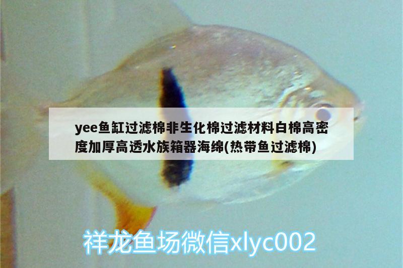 yee鱼缸过滤棉非生化棉过滤材料白棉高密度加厚高透水族箱器海绵(热带鱼过滤棉) yee