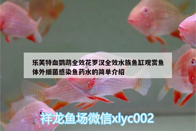 乐芙特血鹦鹉全效花罗汉全效水族鱼缸观赏鱼体外细菌感染鱼药水的简单介绍