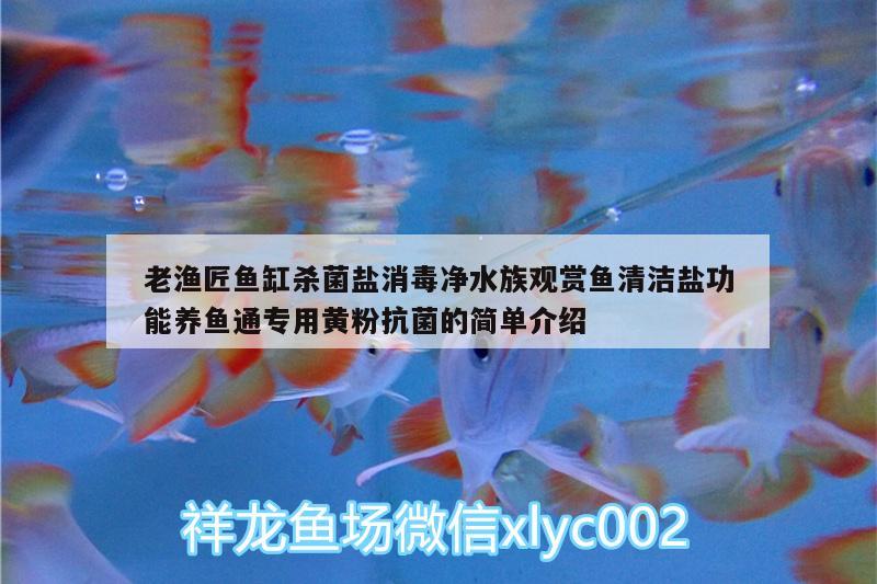 老渔匠鱼缸杀菌盐消毒净水族观赏鱼清洁盐功能养鱼通专用黄粉抗菌的简单介绍 广州水族器材滤材批发市场 第2张