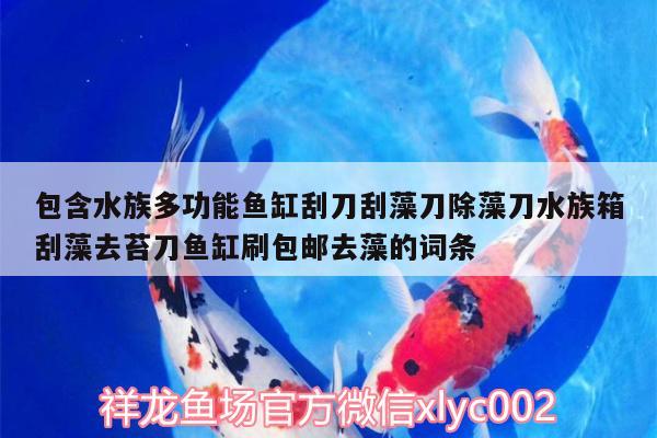 包含水族多功能鱼缸刮刀刮藻刀除藻刀水族箱刮藻去苔刀鱼缸刷包邮去藻的词条