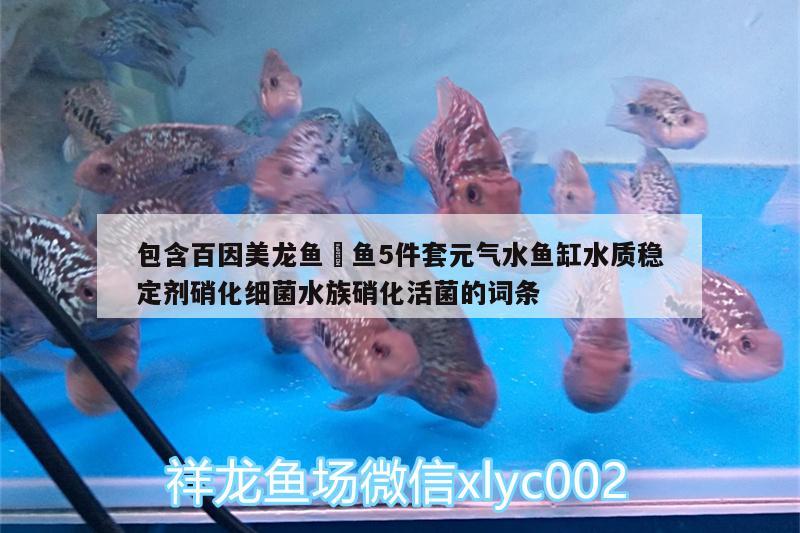 包含百因美龙鱼魟鱼5件套元气水鱼缸水质稳定剂硝化细菌水族硝化活菌的词条