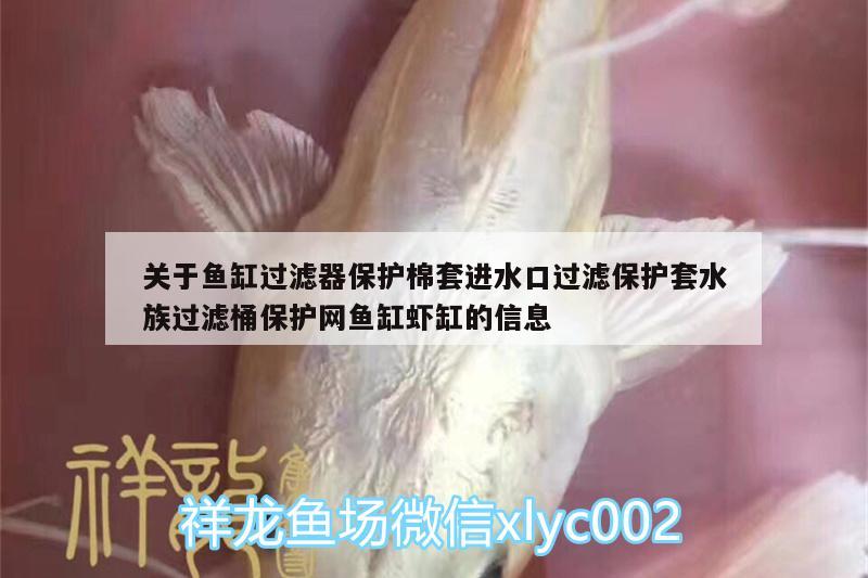 关于鱼缸过滤器保护棉套进水口过滤保护套水族过滤桶保护网鱼缸虾缸的信息 广州水族器材滤材批发市场