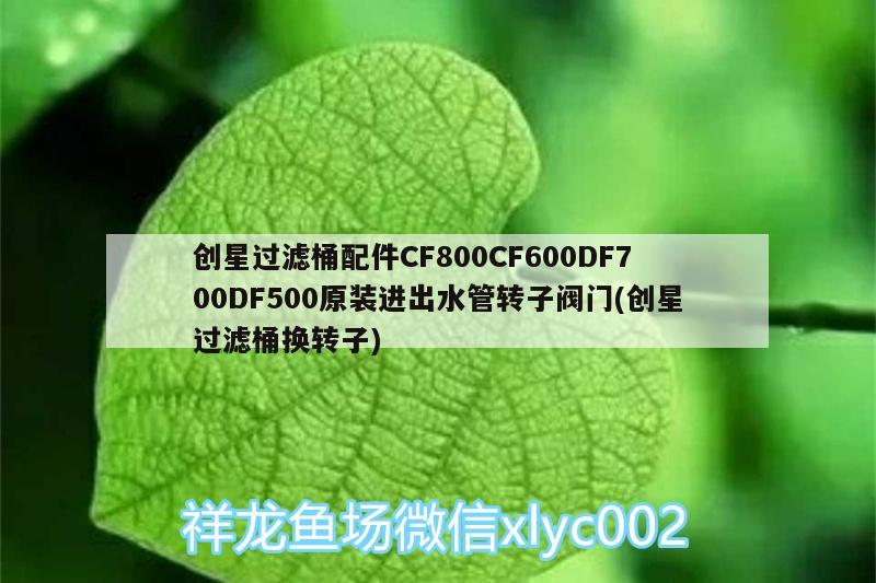 创星过滤桶配件CF800CF600DF700DF500原装进出水管转子阀门(创星过滤桶换转子)