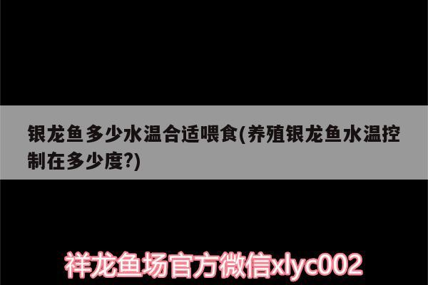 银龙鱼多少水温合适喂食(养殖银龙鱼水温控制在多少度?) 银龙鱼 第2张