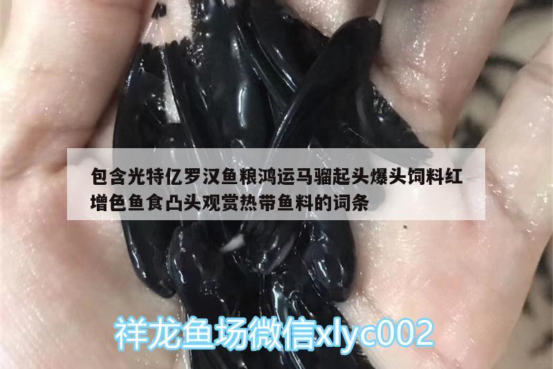 包含光特亿罗汉鱼粮鸿运马骝起头爆头饲料红增色鱼食凸头观赏热带鱼料的词条