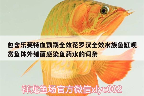 包含乐芙特血鹦鹉全效花罗汉全效水族鱼缸观赏鱼体外细菌感染鱼药水的词条 鹦鹉鱼