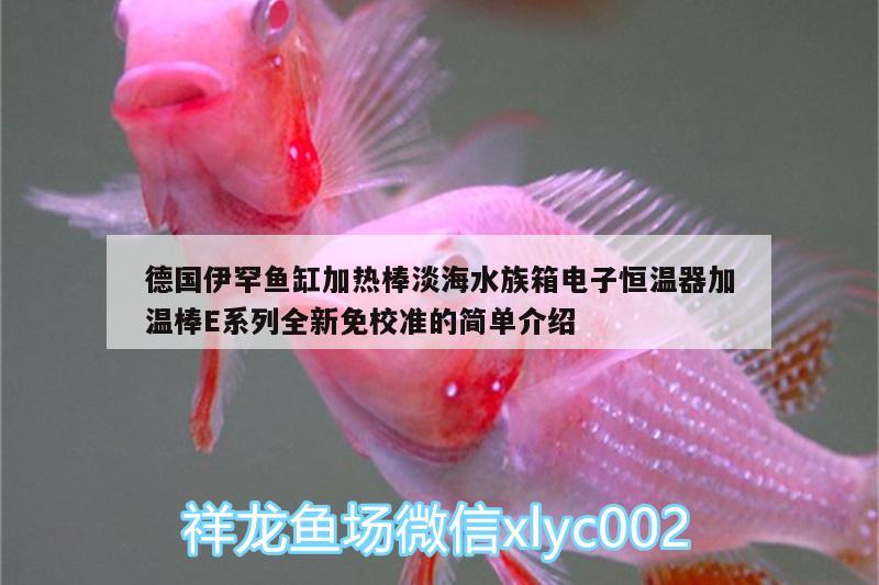 德国伊罕鱼缸加热棒淡海水族箱电子恒温器加温棒E系列全新免校准的简单介绍