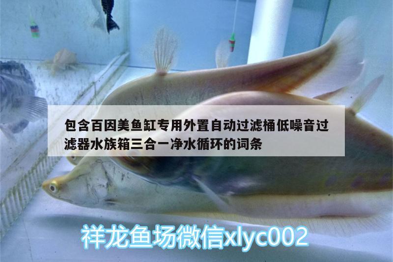 包含百因美鱼缸专用外置自动过滤桶低噪音过滤器水族箱三合一净水循环的词条