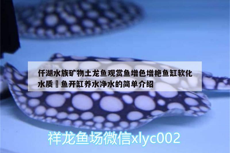 仟湖水族矿物土龙鱼观赏鱼增色增艳鱼缸软化水质魟鱼开缸养水净水的简单介绍 仟湖