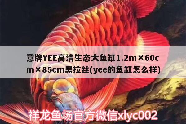 意牌YEE高清生态大鱼缸1.2m×60cm×85cm黑拉丝(yee的鱼缸怎么样)