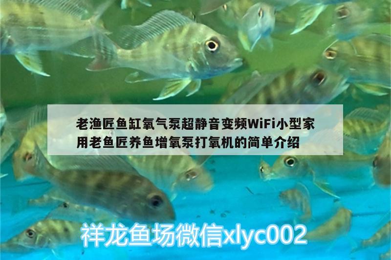 老渔匠鱼缸氧气泵超静音变频WiFi小型家用老鱼匠养鱼增氧泵打氧机的简单介绍 老鱼匠