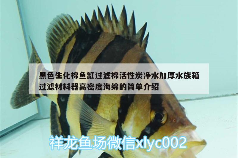 黑色生化棉鱼缸过滤棉活性炭净水加厚水族箱过滤材料器高密度海绵的简单介绍 鱼缸/水族箱 第1张