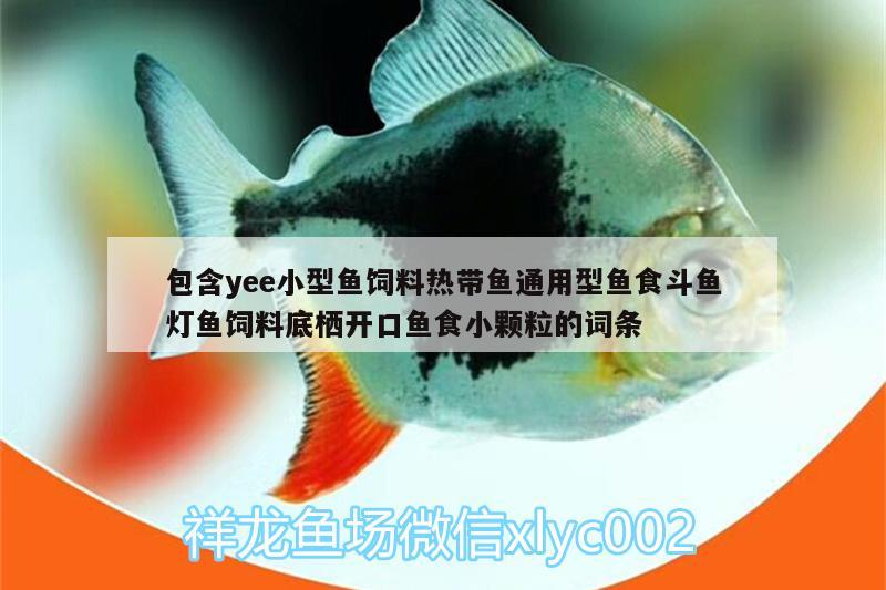 包含yee小型鱼饲料热带鱼通用型鱼食斗鱼灯鱼饲料底栖开口鱼食小颗粒的词条