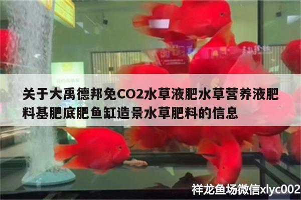 关于大禹德邦免CO2水草液肥水草营养液肥料基肥底肥鱼缸造景水草肥料的信息