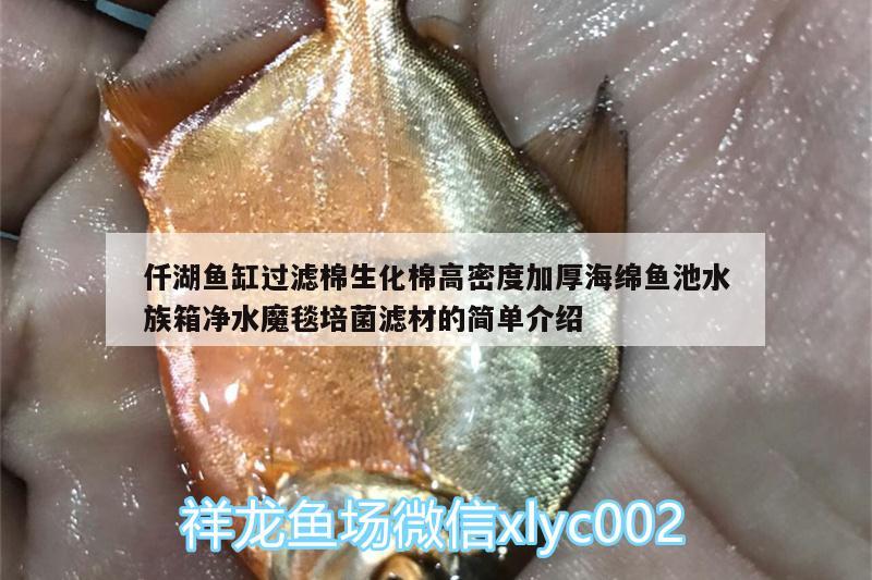 仟湖鱼缸过滤棉生化棉高密度加厚海绵鱼池水族箱净水魔毯培菌滤材的简单介绍 仟湖