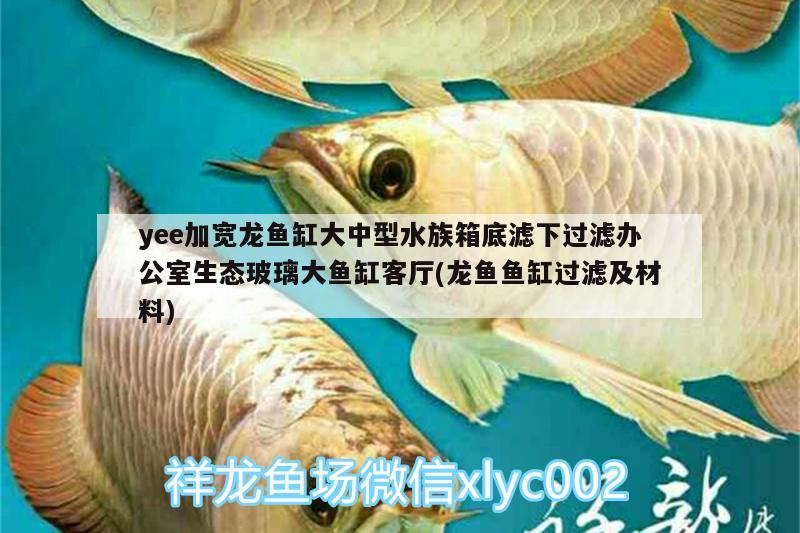 yee加宽龙鱼缸大中型水族箱底滤下过滤办公室生态玻璃大鱼缸客厅(龙鱼鱼缸过滤及材料)