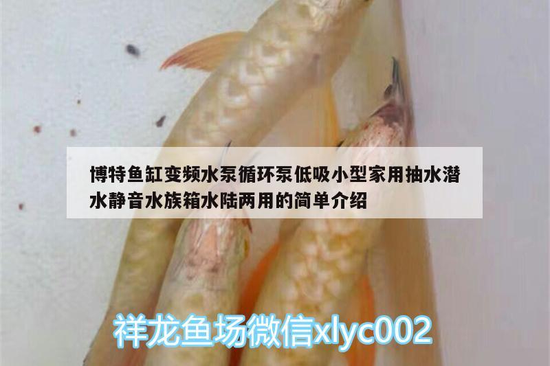 博特鱼缸变频水泵循环泵低吸小型家用抽水潜水静音水族箱水陆两用的简单介绍