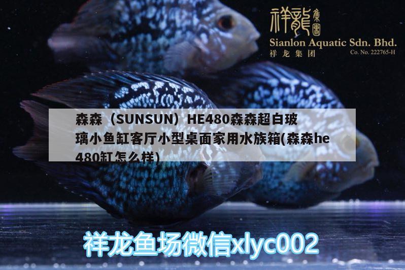 森森（SUNSUN）HE480森森超白玻璃小鱼缸客厅小型桌面家用水族箱(森森he480缸怎么样)