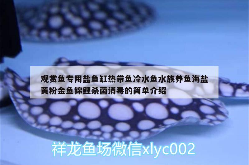 观赏鱼专用盐鱼缸热带鱼冷水鱼水族养鱼海盐黄粉金鱼锦鲤杀菌消毒的简单介绍