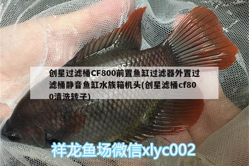 创星过滤桶CF800前置鱼缸过滤器外置过滤桶静音鱼缸水族箱机头(创星滤桶cf800清洗转子) 鱼缸/水族箱