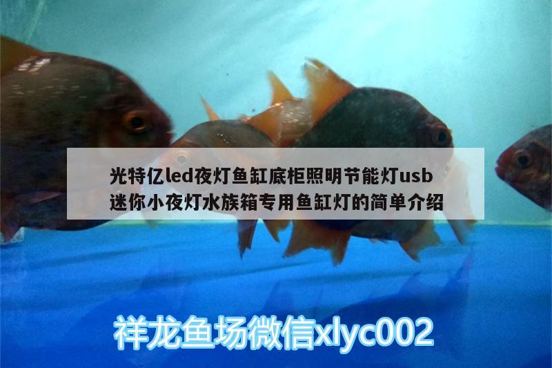 光特亿led夜灯鱼缸底柜照明节能灯usb迷你小夜灯水族箱专用鱼缸灯的简单介绍