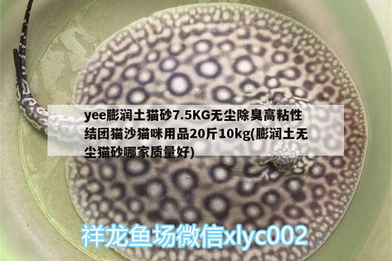 yee膨润土猫砂7.5KG无尘除臭高粘性结团猫沙猫咪用品20斤10kg(膨润土无尘猫砂哪家质量好)