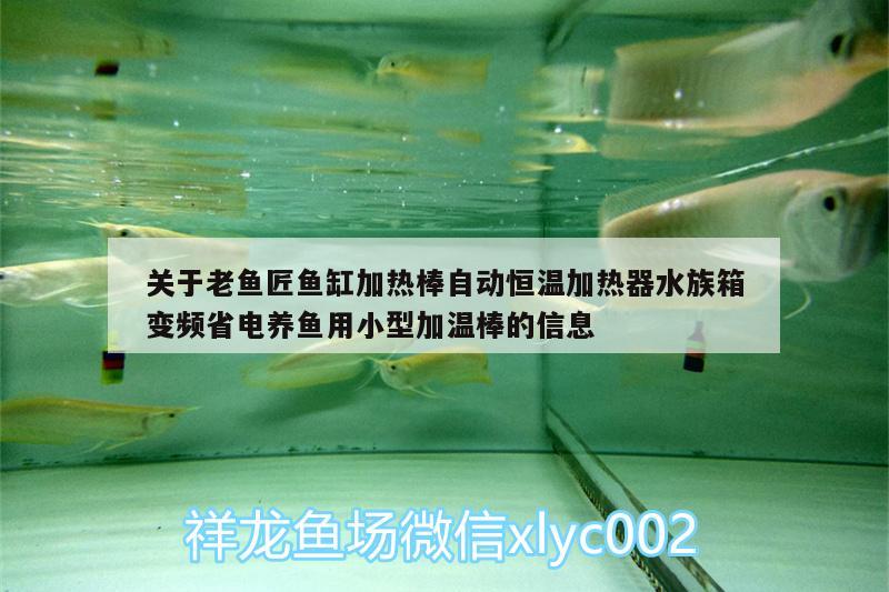 关于老鱼匠鱼缸加热棒自动恒温加热器水族箱变频省电养鱼用小型加温棒的信息