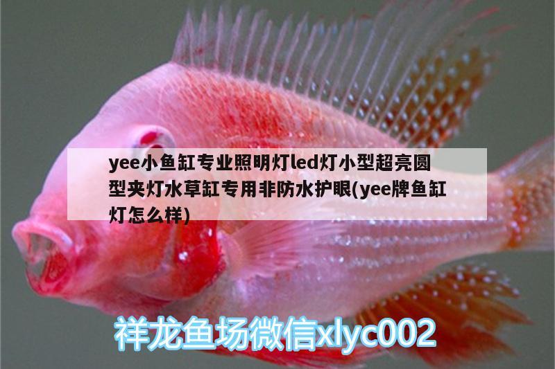 yee小鱼缸专业照明灯led灯小型超亮圆型夹灯水草缸专用非防水护眼(yee牌鱼缸灯怎么样) yee