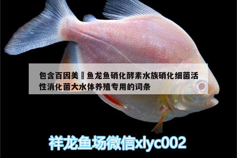 包含百因美魟鱼龙鱼硝化酵素水族硝化细菌活性消化菌大水体养殖专用的词条