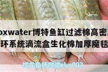 关于boxwater博特鱼缸过滤棉高密度净水循环系统滴流盒生化棉加厚魔毯的信息